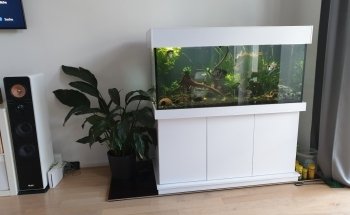 Meduza6 GbR. Ligendza&Adamczyk