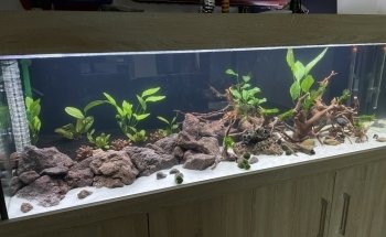 Medusa6 GbR. Ligendza&Adamczyk