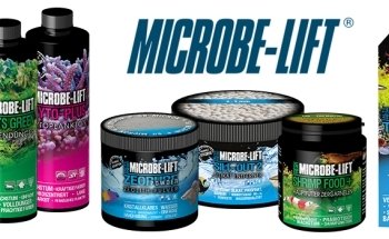 Garnelengarten-Bayern