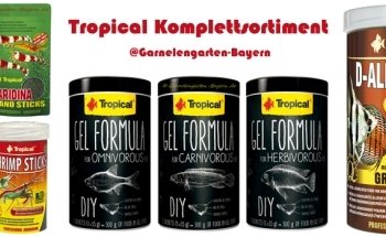 Garnelengarten-Bayern