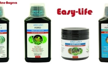 Garnelengarten-Bayern