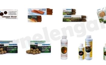 Garnelengarten-Bayern