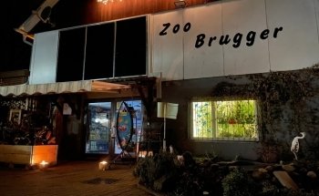 Zoo-Brugger