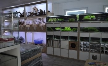 Aqua Tom Krefeld