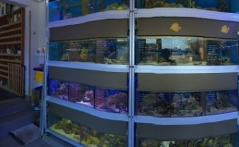 Seewasseraquaristik Wagner