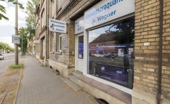 Seewasseraquaristik Wagner