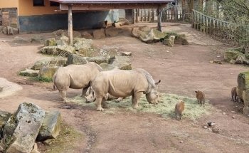 Tetra-Aquarium und Terrarium im Zoo Osnabrück
