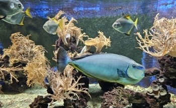 Tetra Aquarium and Terrarium at Osnabrück Zoo