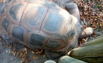 Tetra-Aquarium und Terrarium im Zoo Osnabrück