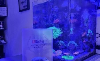 Das Seewasserparadies