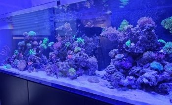 Das Seewasserparadies