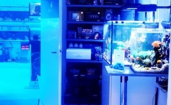 Das Seewasserparadies