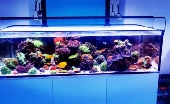 Das Seewasserparadies