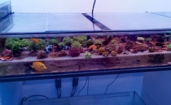 The Seawater Paradise