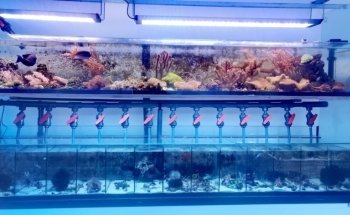 Das Seewasserparadies