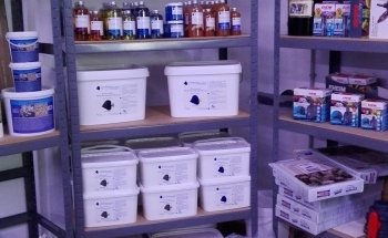 Das Seewasserparadies