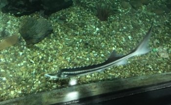 Estación de Ecología Acuática