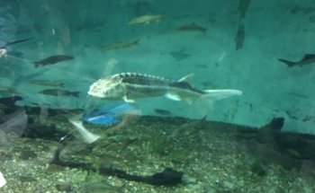 Estación de Ecología Acuática