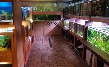 Aquarium Recklinghausen Süd e.V.