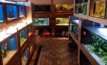 Recklinghausen South Aquarium e.V.