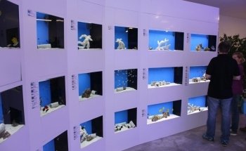 MeerWasserWelt - RiffSystem Riffkeramik