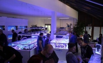 SeaWaterWorld - ReefSystem ReefCeramics