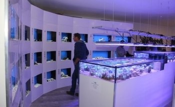 MeerWasserWelt - RiffSystem Riffkeramik