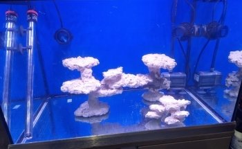 MeerWasserWelt - RiffSystem Riffkeramik