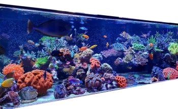 MeerWasserWelt - RiffSystem Riffkeramik