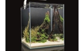 Wirbellosenzucht Ritter