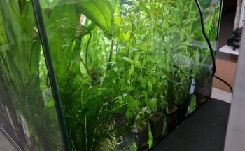 Aquaristikbedarf Waldmann