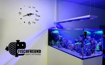 Fischfreund Aquaristik Aquarien- und Teichservice