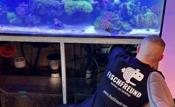 Fischfreund Aquaristik Aquarien- und Teichservice