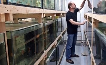 Zierfischzucht Kotterba