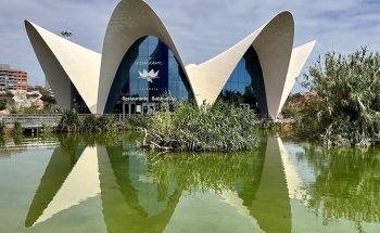 Temperats i tropicals