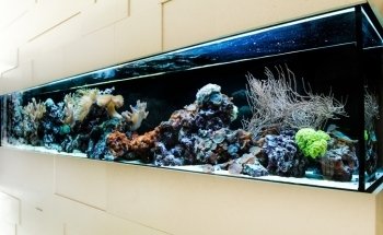 Aquarium West GmbH