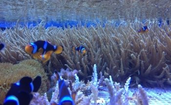 Aquarium West GmbH
