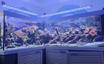 ATI Aquaristik GmbH