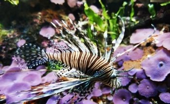 Exotarium Zoo Frankfurt