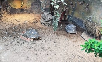 Exotarium Zoo Frankfurt