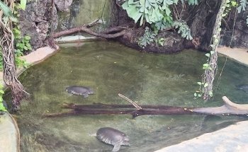 Exotarium Zoo Frankfurt