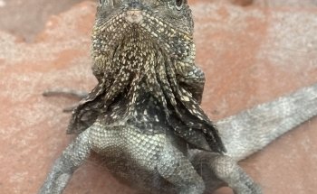 Exotarium Zoo Frankfurt