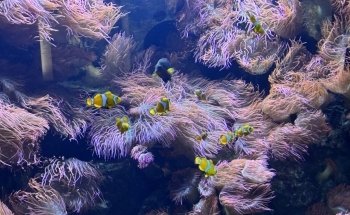 Exotarium Zoo Frankfurt