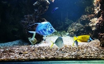 Exotarium Zoo Frankfurt