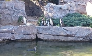 Exotarium Zoo Frankfurt
