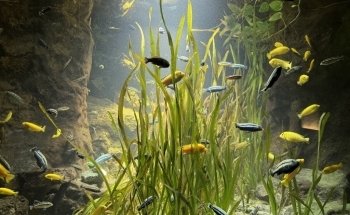 Exotarium Zoo Frankfurt