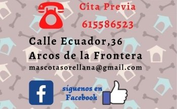 MASCOTAS ORELLANA