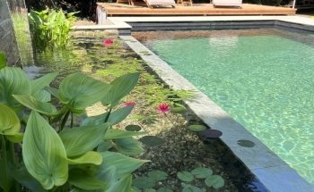 El Servicio de Estanque