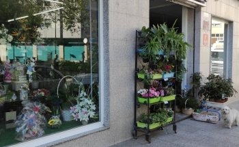 BLUE FLORIST AND PET STORE