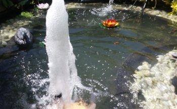 Aquarienservice-Aachen